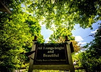 All Things Bright and Beautiful