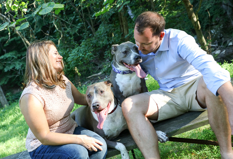Family photography: a man and woman laugh as they sit on a picnic table in the woods with their two pit bulls. 