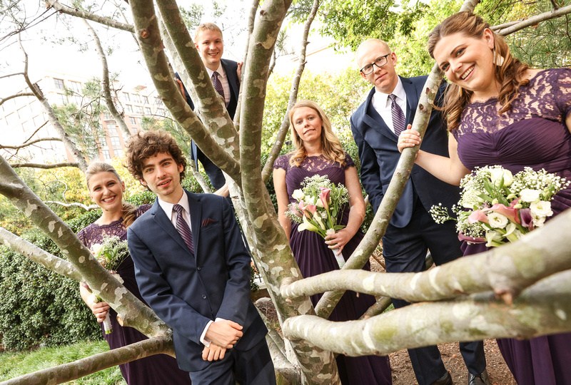 Wedding photography, a wedding party smiles while sitting in the tree limbs. 