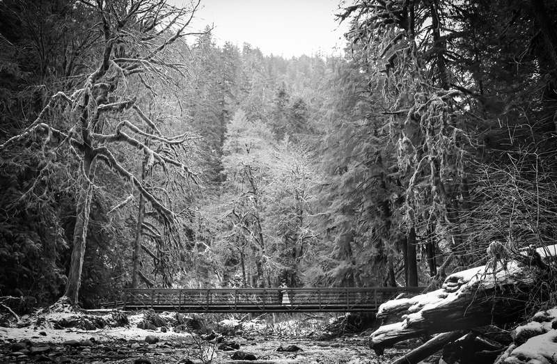 Wedding photography, a bride and groom stand on a snowy bridge in the forest. 