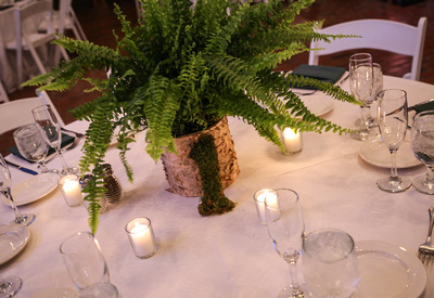 Wedding photography, a table with a white cloth, candles, and a fern centerpiece. 