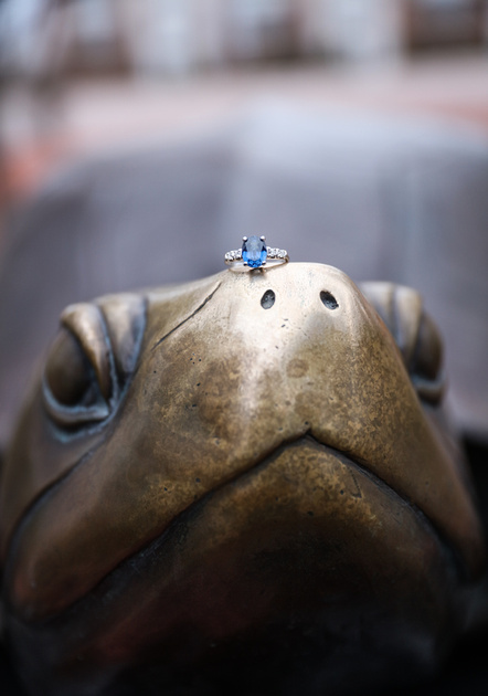 Engagement photography, an engagement ring with a blue stone sits on top of a statue of a terrapin. 