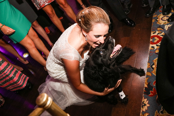 Wedding photography, a bride in an embroidered gown laughs with her black dog on the dance floor. 