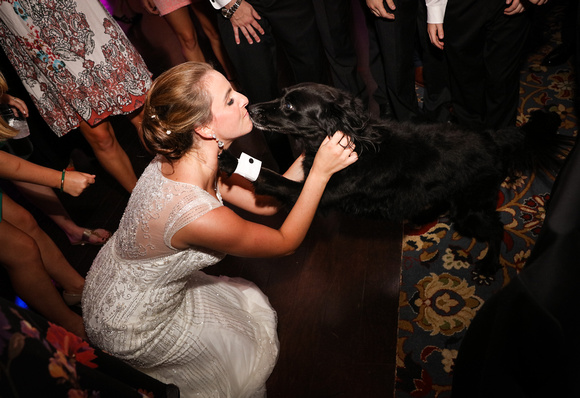 Wedding photography, a bride in an embroidered gown kisses her black dog on the dance floor. 